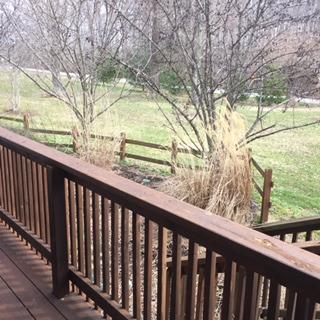 1723 Highway 865, Eubank, KY 42567 photo 6