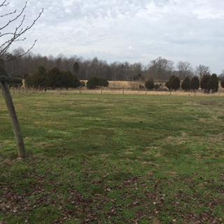 1723 Highway 865, Eubank, KY 42567 photo 13