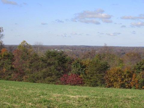 580 Knob Rd, Nancy, KY 42544 photo 44
