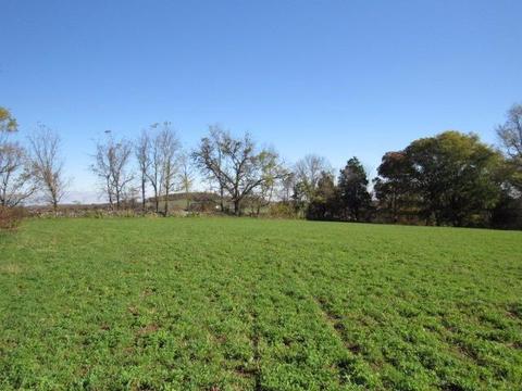 580 Knob Rd, Nancy, KY 42544 photo 29