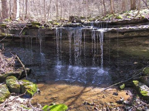 580 Knob Rd, Nancy, KY 42544 photo 4