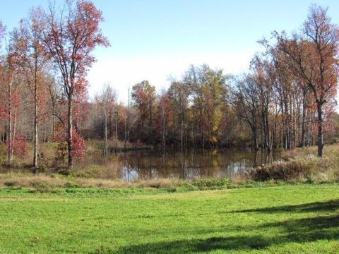 580 Knob Rd, Nancy, KY 42544 photo 8