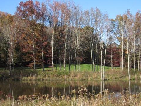 580 Knob Rd, Nancy, KY 42544 photo 67