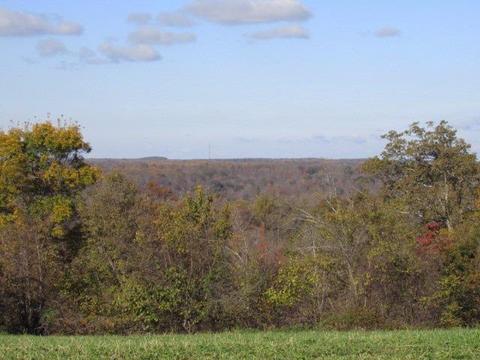 580 Knob Rd, Nancy, KY 42544 photo 45