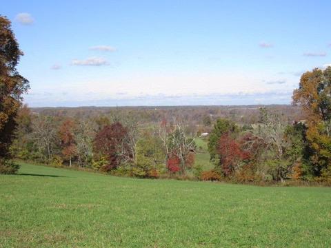 580 Knob Rd, Nancy, KY 42544 photo 38
