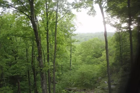 180 Dixie Red Bud, Burnside, KY 42519 photo 14