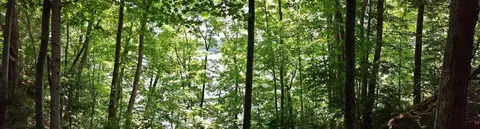 306 Sellars Rd, Nancy, KY 42544 photo 43