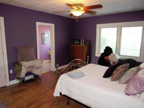 290 Deaton Ln, Eubank, KY 42567 photo 44