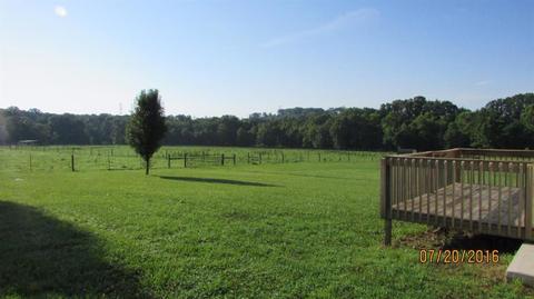 1102 Estill Hackney Rd, Eubank, KY 42567 photo 13