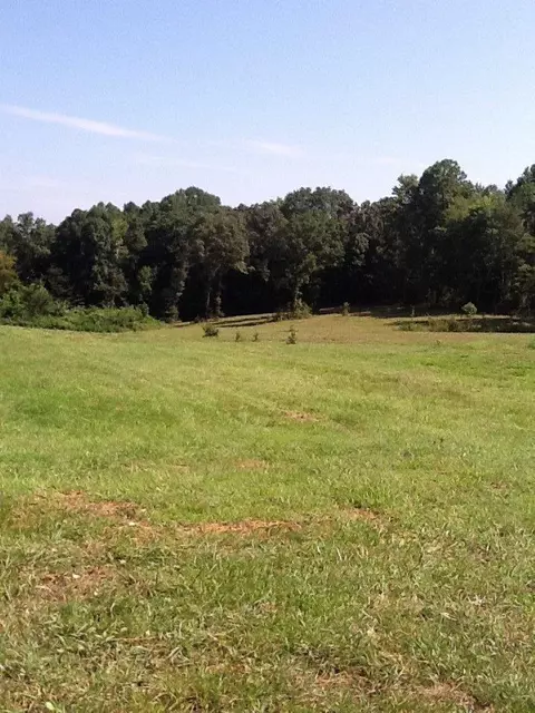 180 Gary Powell, Eubank, KY 42567 photo 2