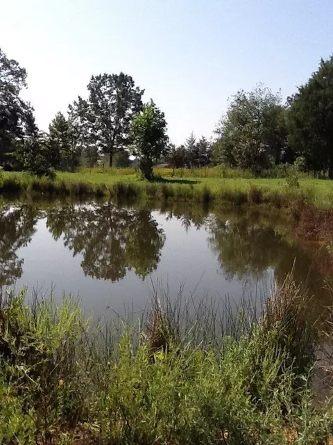 180 Gary Powell, Eubank, KY 42567 photo 9