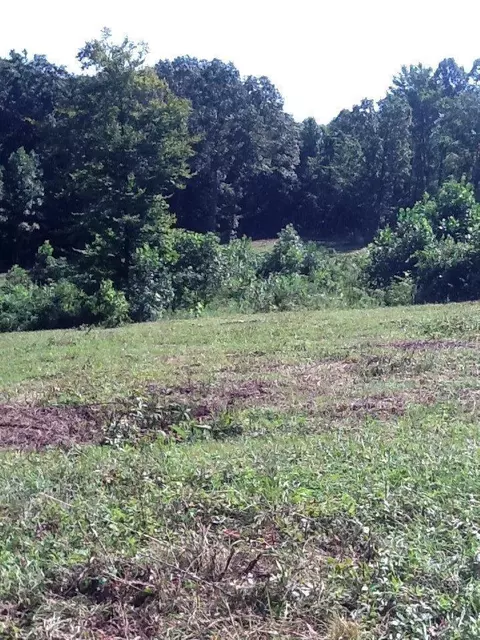 180 Gary Powell, Eubank, KY 42567 photo 7