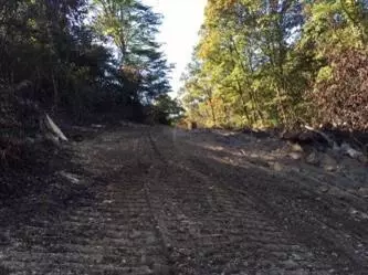 1359 Machine Branch Rd, Ewing, VA photo 3