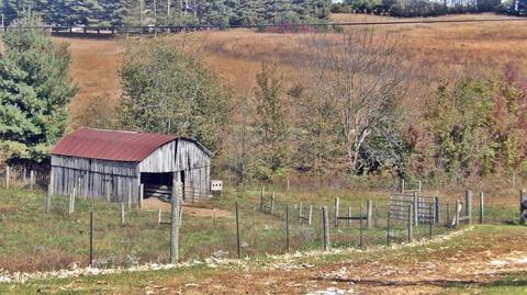 1424 Old Cuba Rd, Eubank, KY 42567 photo 62