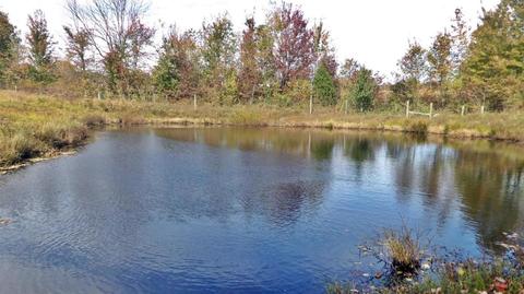 1424 Old Cuba Rd, Eubank, KY 42567 photo 42