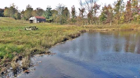 1424 Old Cuba Rd, Eubank, KY 42567 photo 44