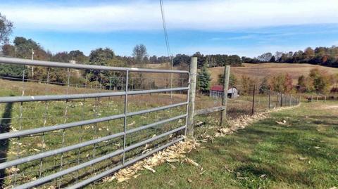 1424 Old Cuba Rd, Eubank, KY 42567 photo 58