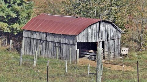 1424 Old Cuba Rd, Eubank, KY 42567 photo 61