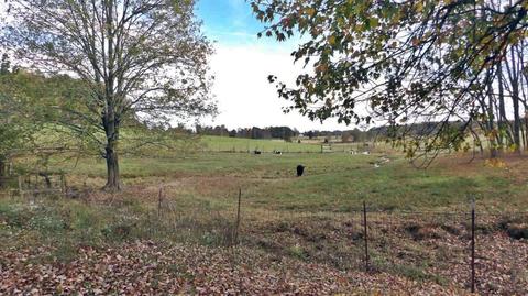 1424 Old Cuba Rd, Eubank, KY 42567 photo 49