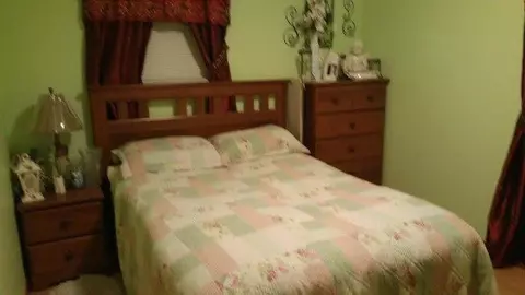 137 Gardenia, Ewing, VA 24248 photo 20