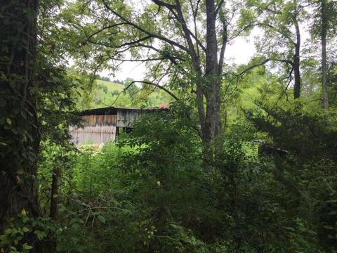 345 Conner Rd, Harrogate, TN 37752 photo 2