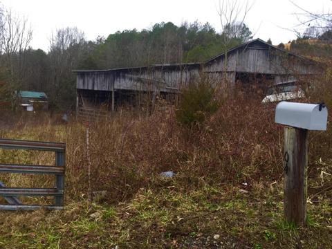 345 Conner Rd, Harrogate, TN 37752 photo 9