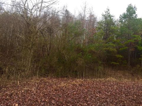 345 Conner Rd, Harrogate, TN 37752 photo 4