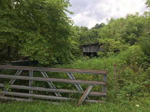 345 Conner Rd, Harrogate, TN 37752 photo 1