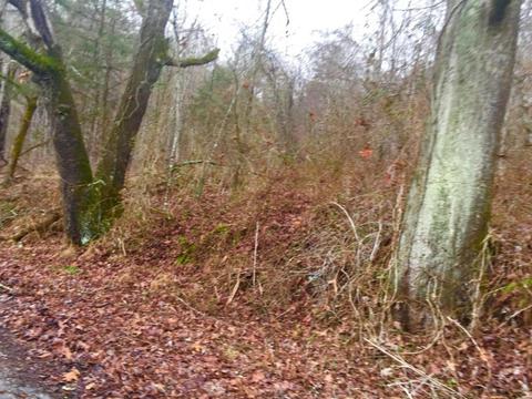 345 Conner Rd, Harrogate, TN 37752 photo 7