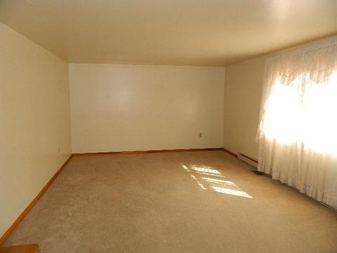256 E French Ave, Burnside, KY 42519 photo 3
