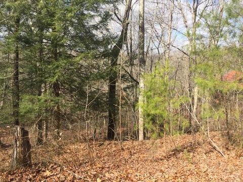 64 Tranquility Pl, Burnside, KY 42519 photo 6