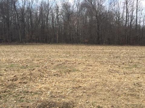 745 Todd Rd, Eubank, KY 42567 photo 43