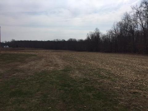 745 Todd Rd, Eubank, KY 42567 photo 44