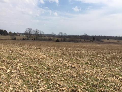 745 Todd Rd, Eubank, KY 42567 photo 46