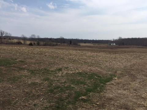 745 Todd Rd, Eubank, KY 42567 photo 45