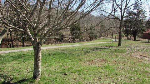 586 Dye Rd, Nancy, KY 42544 photo 2