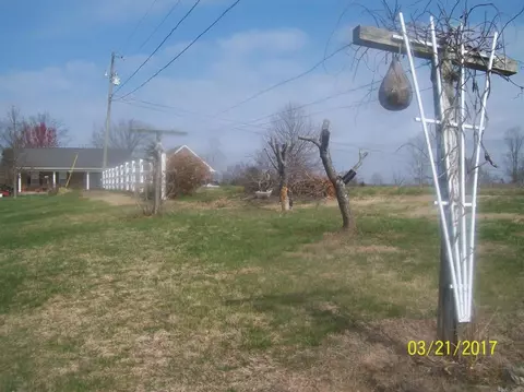45 Meadow Dr, Nancy, KY 42544 photo 41