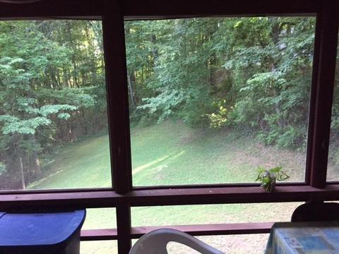 122 Austin Rd, Nancy, KY 42544 photo 11