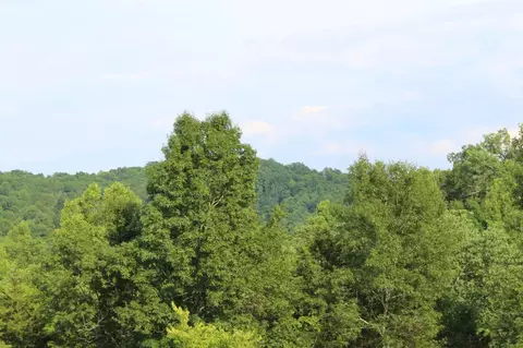 701 Sugar Tree Holw, Burnside, KY 42519 photo 31