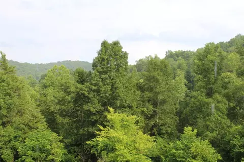 701 Sugar Tree Holw, Burnside, KY 42519 photo 25