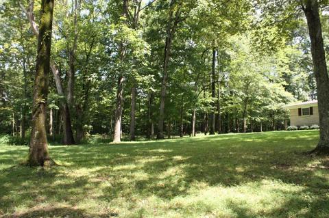 1175 E Hwy 452, Eubank, KY 42567 photo 5