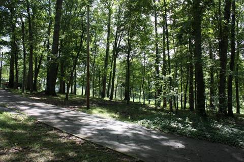 1175 E Hwy 452, Eubank, KY 42567 photo 4