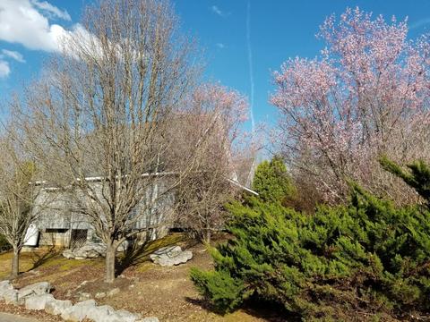 55 Boone Trl, Burnside, KY 42519 photo 26