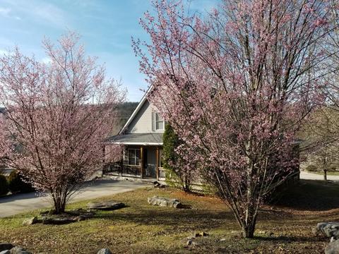 55 Boone Trl, Burnside, KY 42519 photo 1