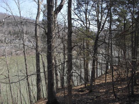 150 Buck Tail Dr, Burnside, KY 42519 photo 9