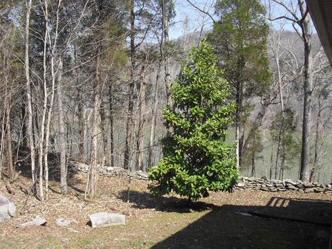 150 Buck Tail Dr, Burnside, KY 42519 photo 12