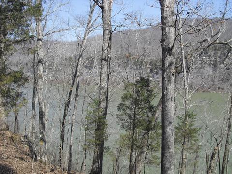 150 Buck Tail Dr, Burnside, KY 42519 photo 8