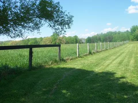 992 Hwy 865, Eubank, KY 42567 photo 20