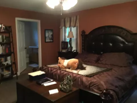 462 Harbor St, Nancy, KY 42544 photo 8