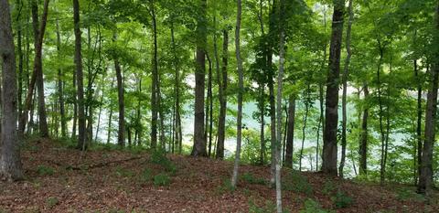 2404 Roberts Bend Rd, Burnside, KY 42519 photo 6